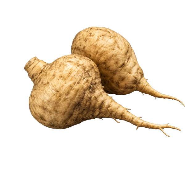 Maca